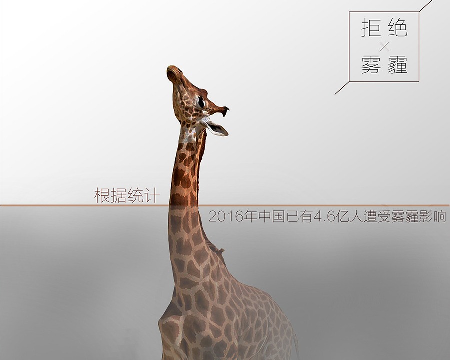 丽江公益广告片
